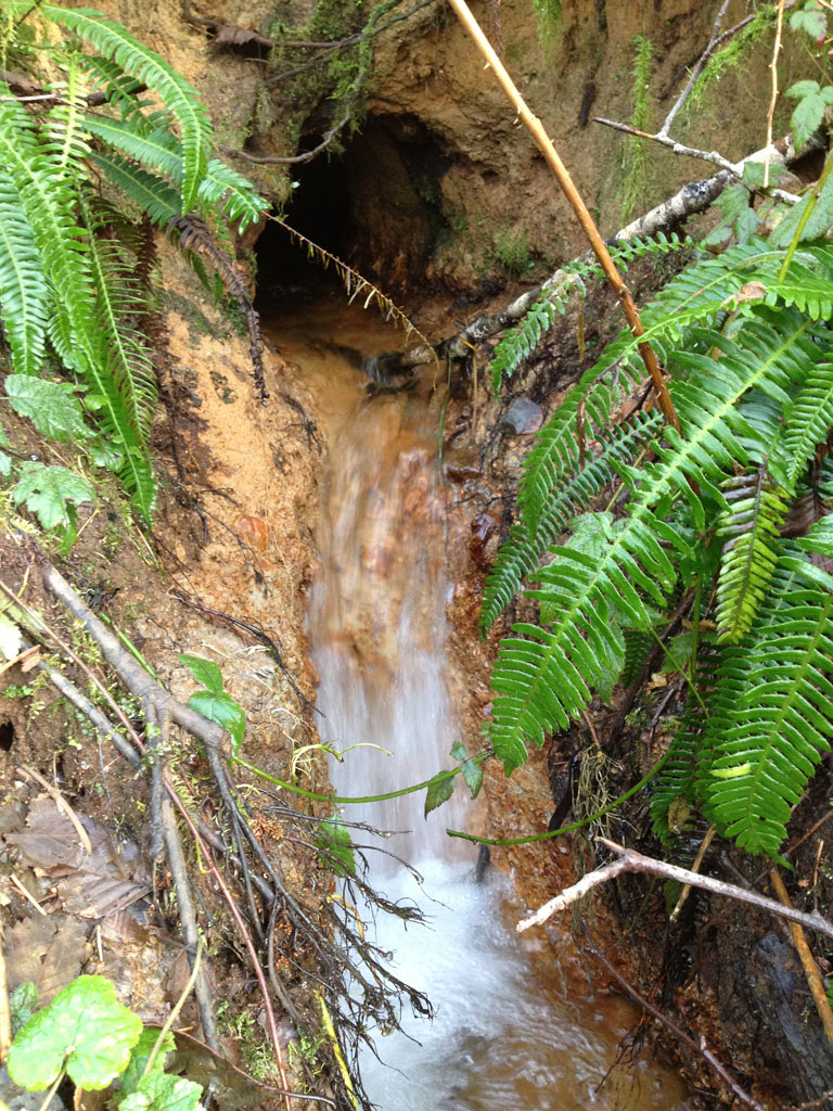 Underground stream PeaceCrops